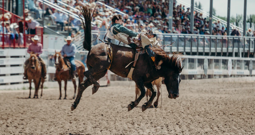 Southeastern Livestock Exposition Rodeo Returns to Montgomery