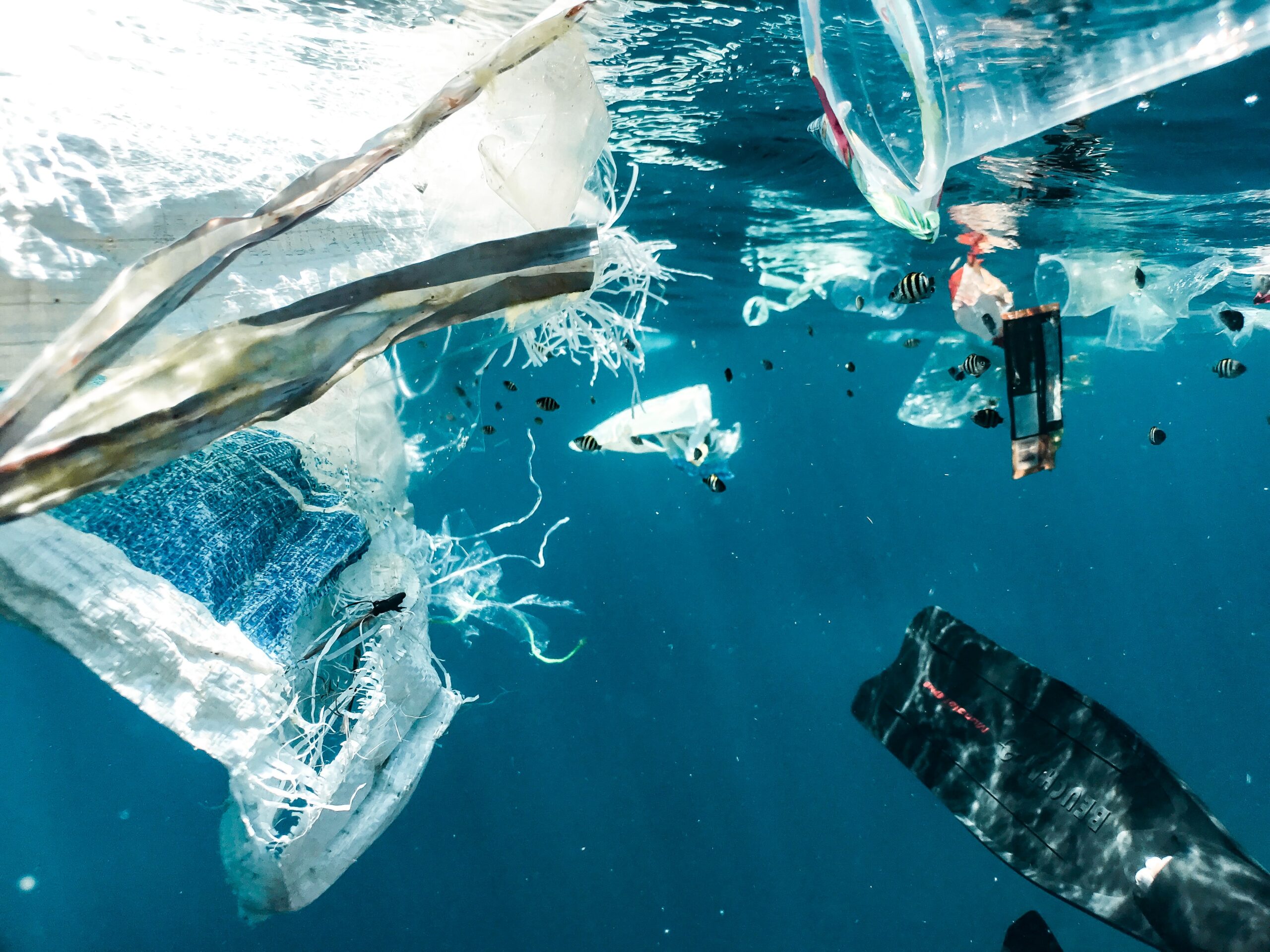 Facing Plastic Pollution