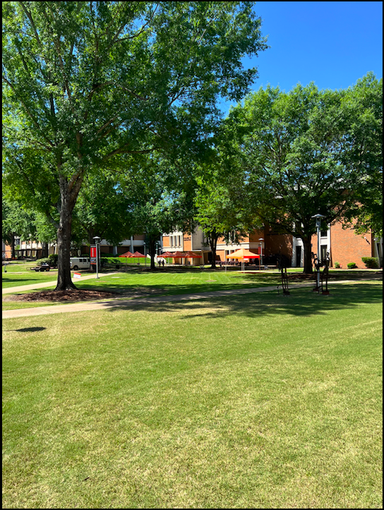 <strong>Orientation Rocks for Incoming Freshman at AUM</strong>