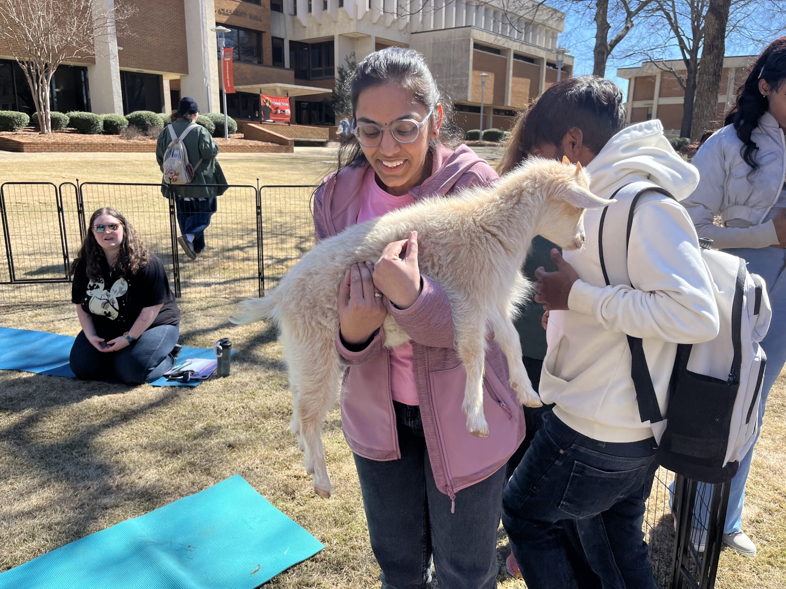 Students relax and destress with goat cuddling on The Quad