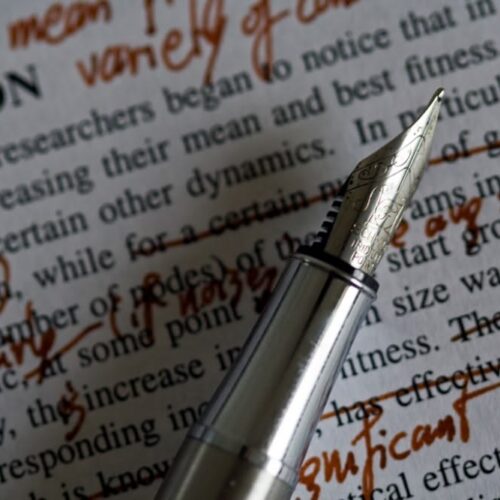 Letter from the summer co-editors