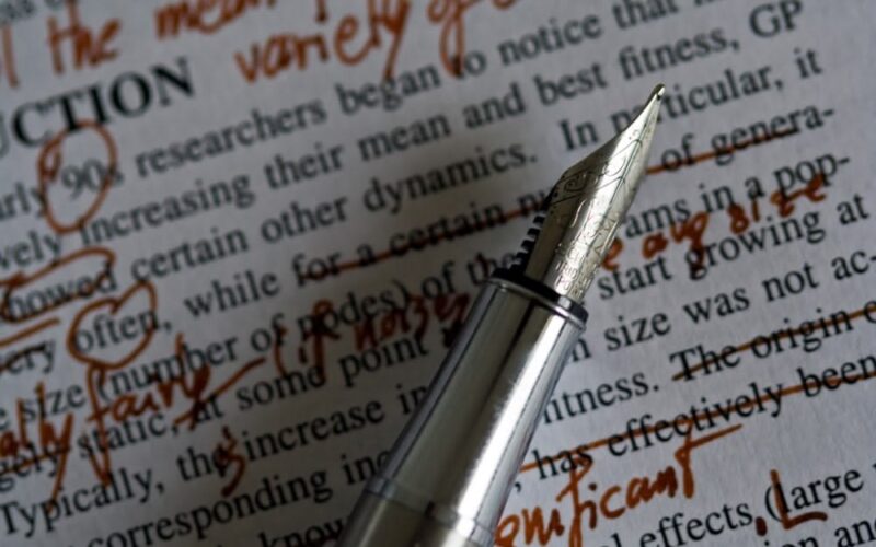 Letter from the summer co-editors