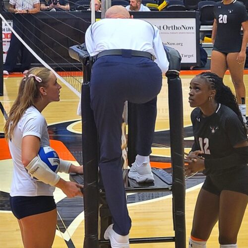 Lady Warhawks fly too close to the sun and Lee Flames volleyball clips their wings
